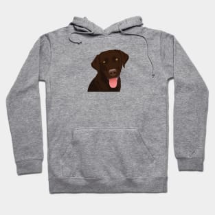 Chocolate Lab Hoodie